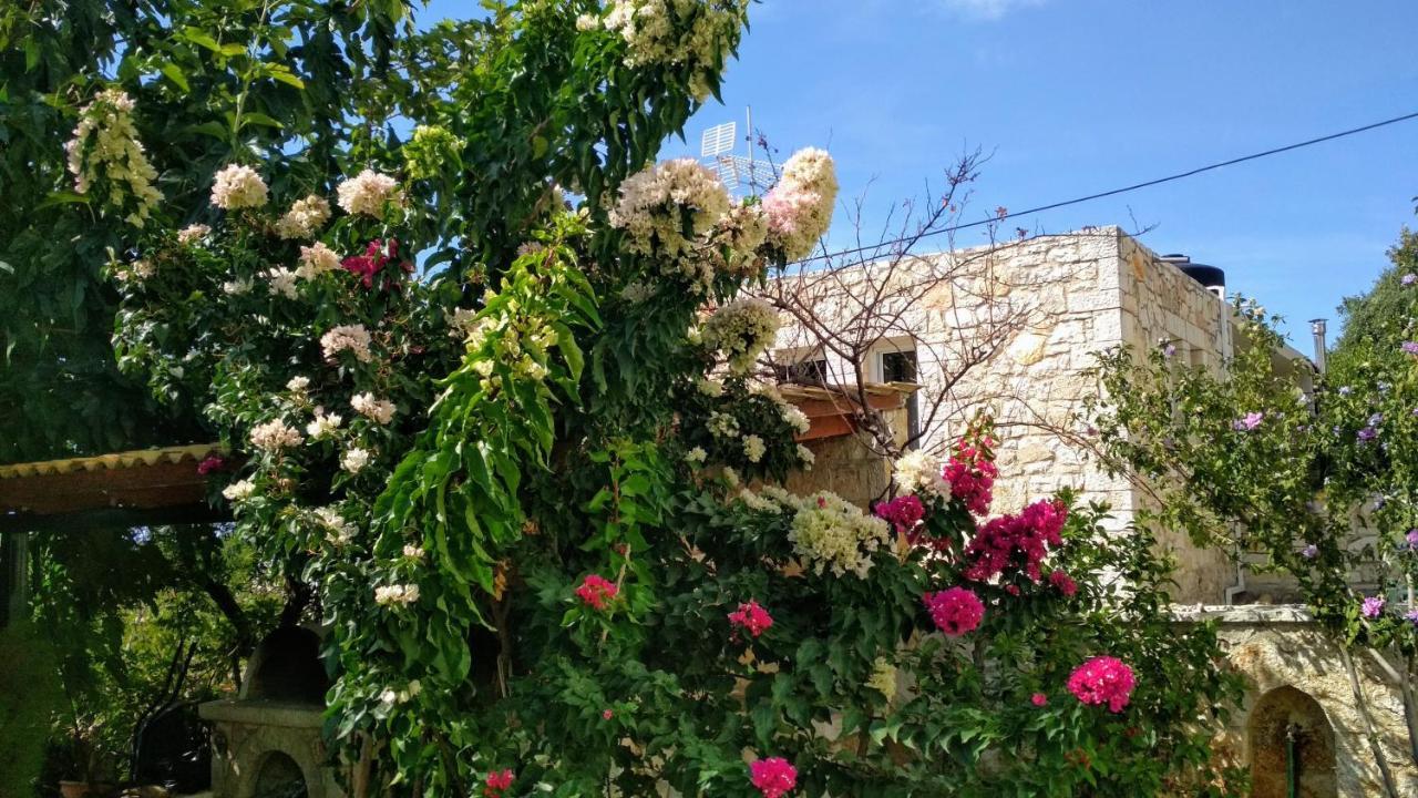 Villa Vera ซิโวตา ภายนอก รูปภาพ